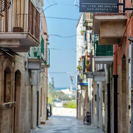 Domatia