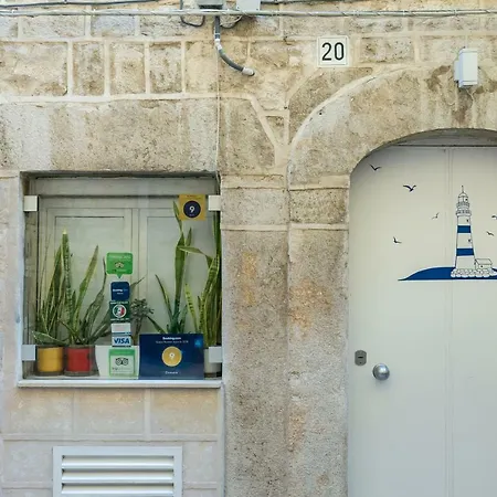 Domatia